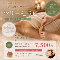 画像528